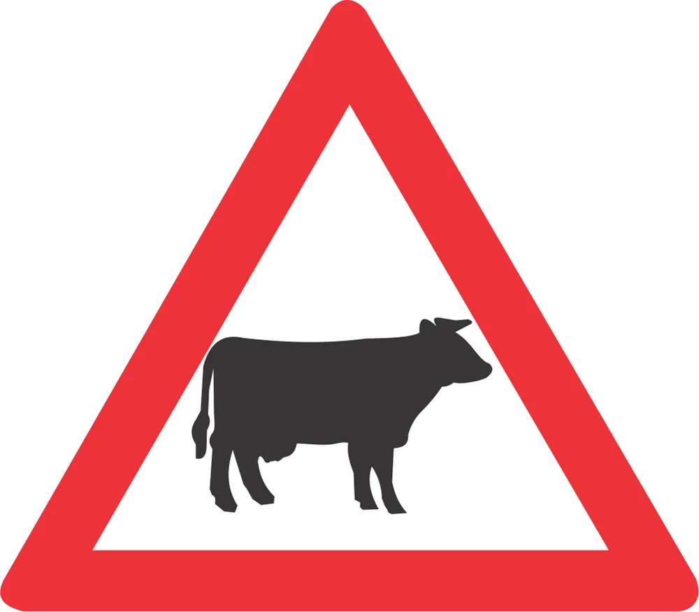 Domestic animals (cattle) road Road Sign (W310)
